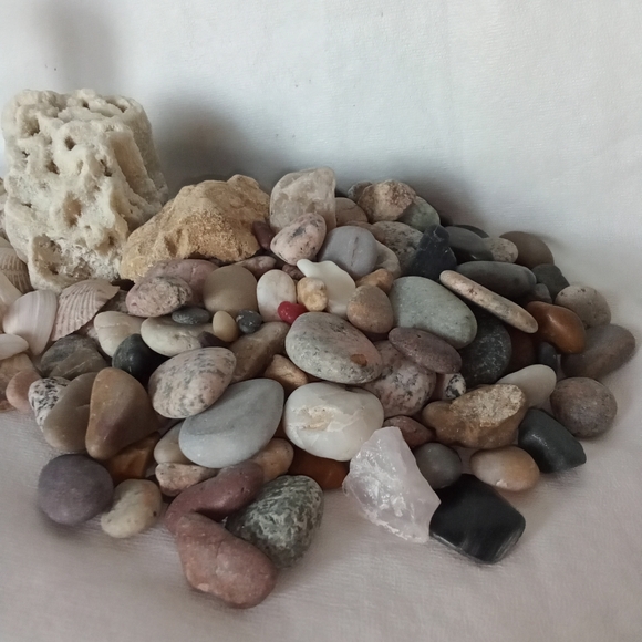 Fish Tank Accessories Sea Shells & Small Colorful Rocks Roman Column Aquarium - Picture 3 of 8